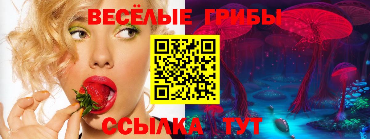 Псилоцибиновые грибы MAGIC MUSHROOMS Ставрополь
