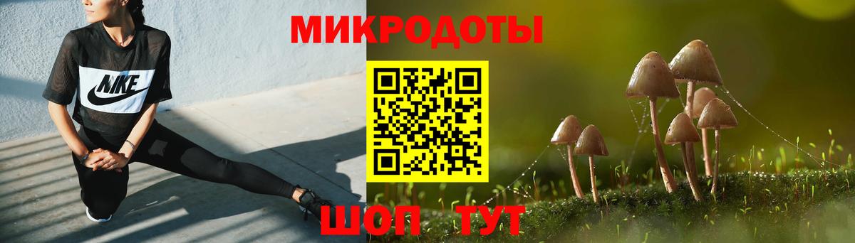 Галлюциногенные грибы Psilocybine cubensis  Галлюциногенные грибы прущие грибы  Ставрополь  Вход с VPN 